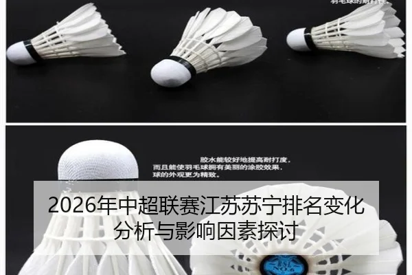 nian-zhong-chao-lian-sai-jiang-su-su-ning-pai-ming-bian-hua-fen-xi-yu-ying-xiang-yin-su-tan-tao-2-699.jpg